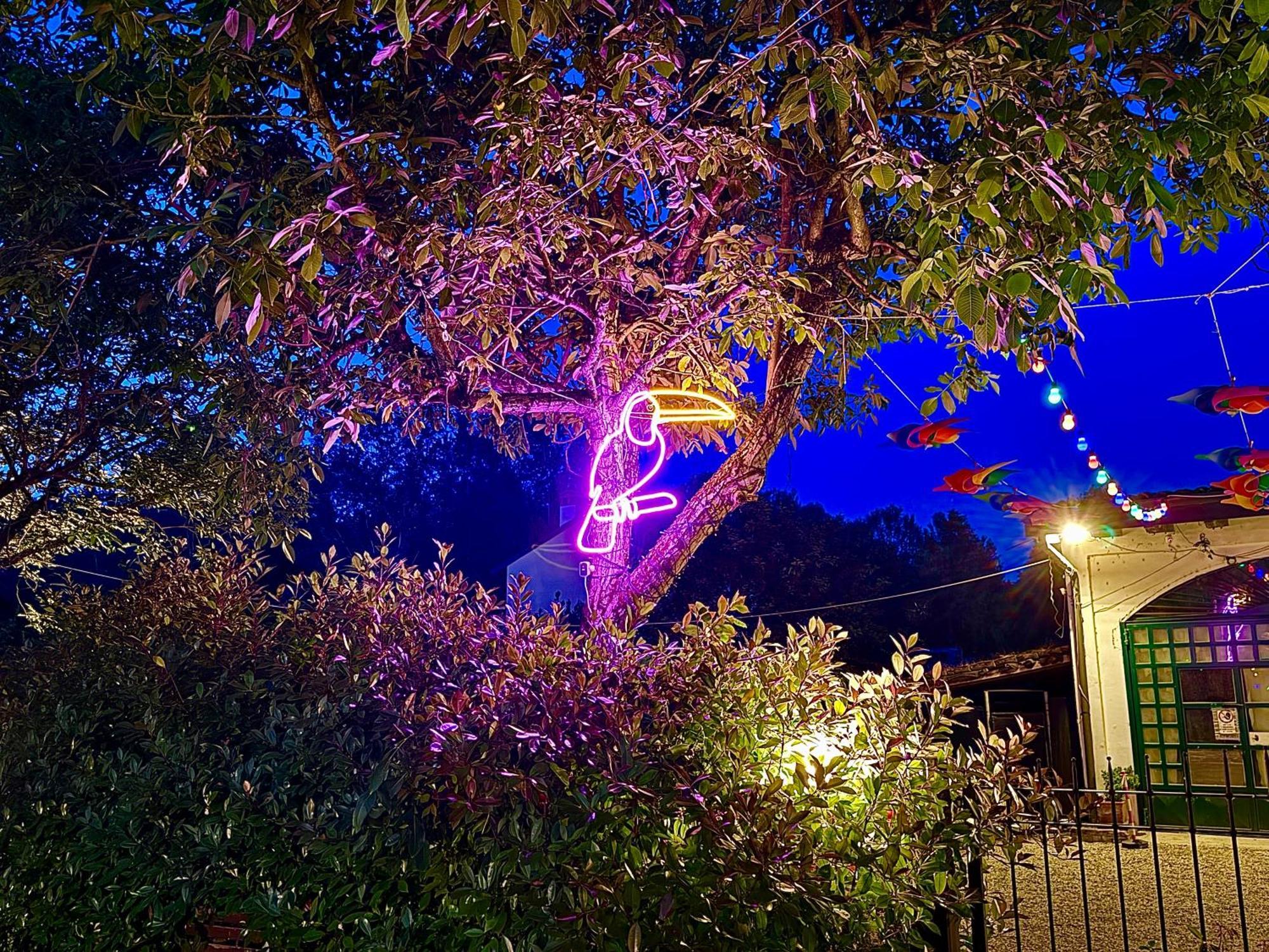 B&B La Borasca กาซัลปุสเตเลนโก ภายนอก รูปภาพ
